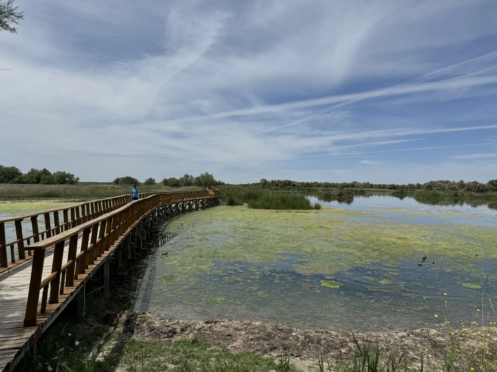 Las Tablas de Daimiel un bonito día de primavera