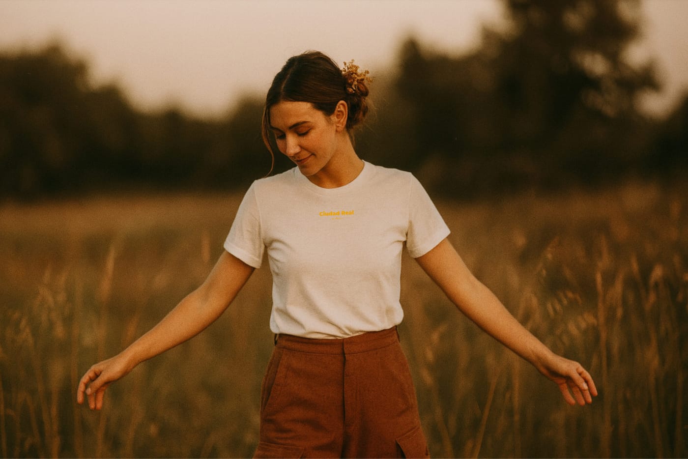 Camiseta Don Qixo en un campo de La Mancha al atardecer